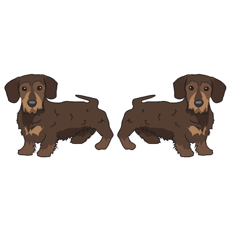 Signmission Doxiepoo Dog Decal, Dog Lover Decor Vinyl Sticker D-18-Doxiepoo